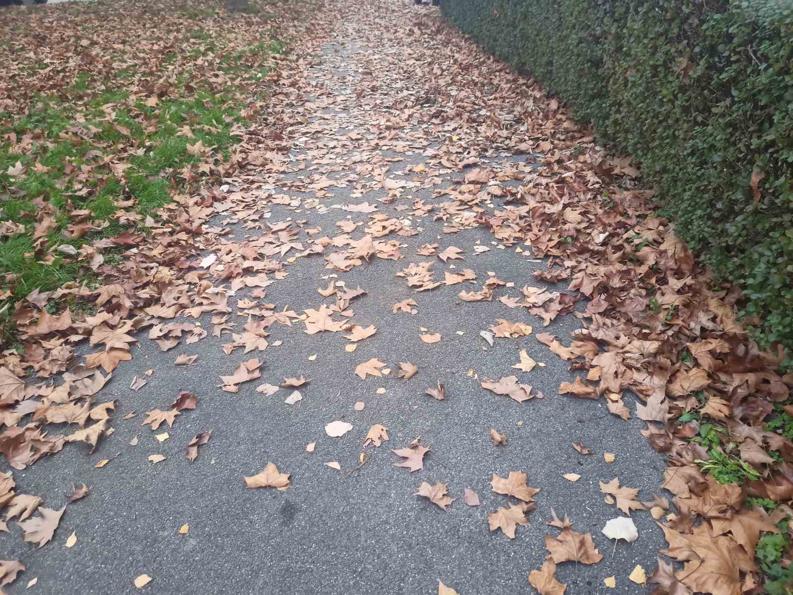 FOTO: NIKOLA MORAČA/RAS SRBIJA