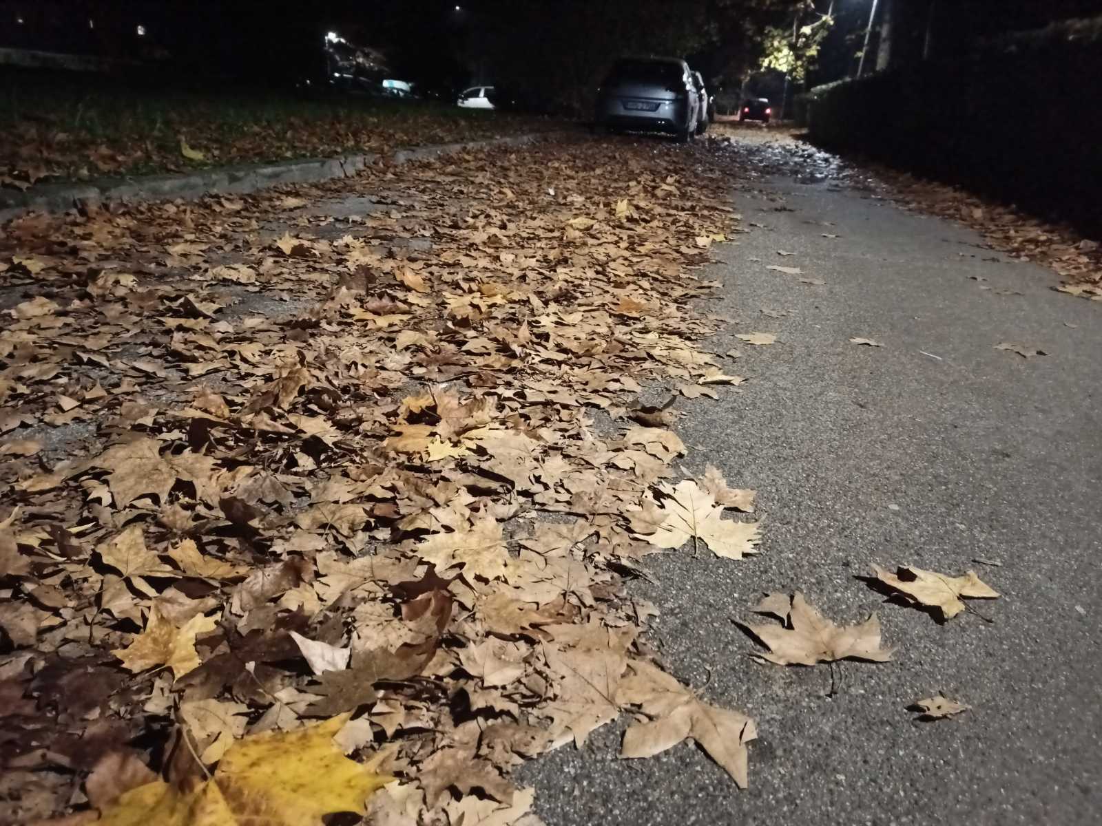 FOTO: NIKOLA MORAČA/RAS SRBIJA