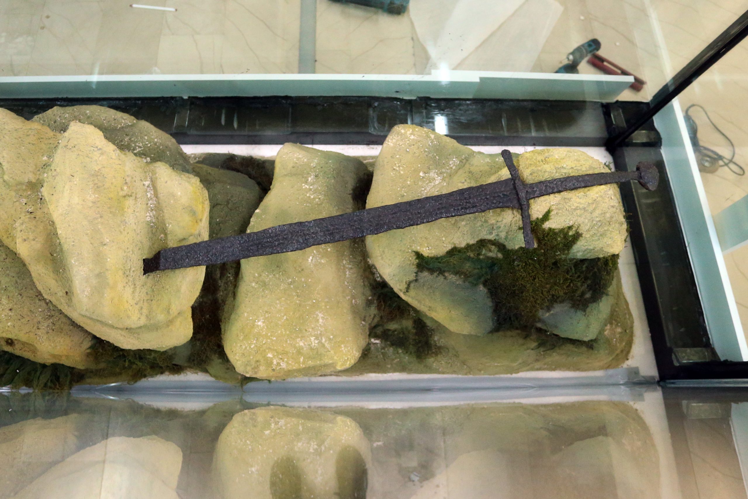 FOTO: GORAN ŠURLAN/RAS SRBIJA