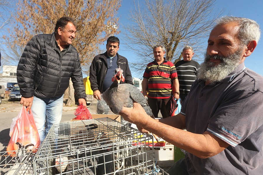 Foto Siniša Pašalić/RAS Srbija
